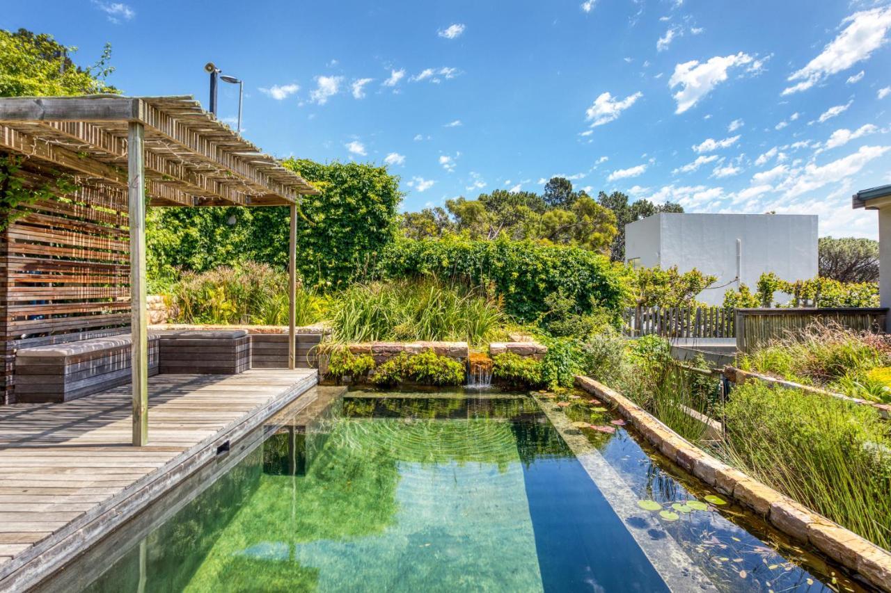Solar-Powered Mountain Retreat With Natural Pool Cape Town Exterior photo
